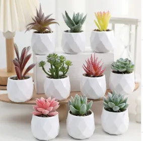 Artificial Faux Succulents In White Ceramic Pot