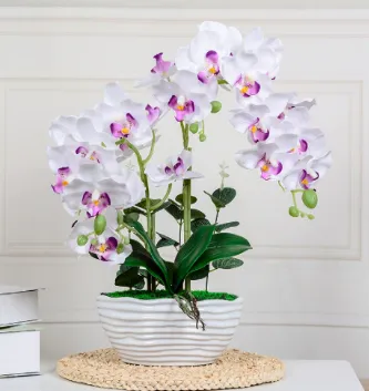 Artificial Phalaenopsis Orchid