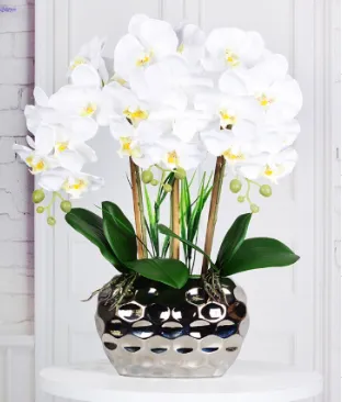 Artificial Phalaenopsis White Orchid