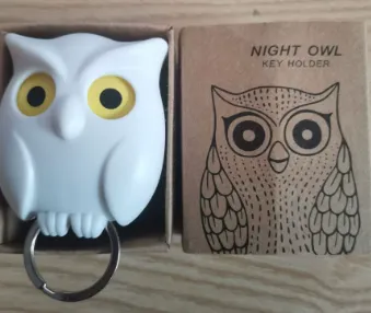 Night Owl Wall Mounted Key Holder