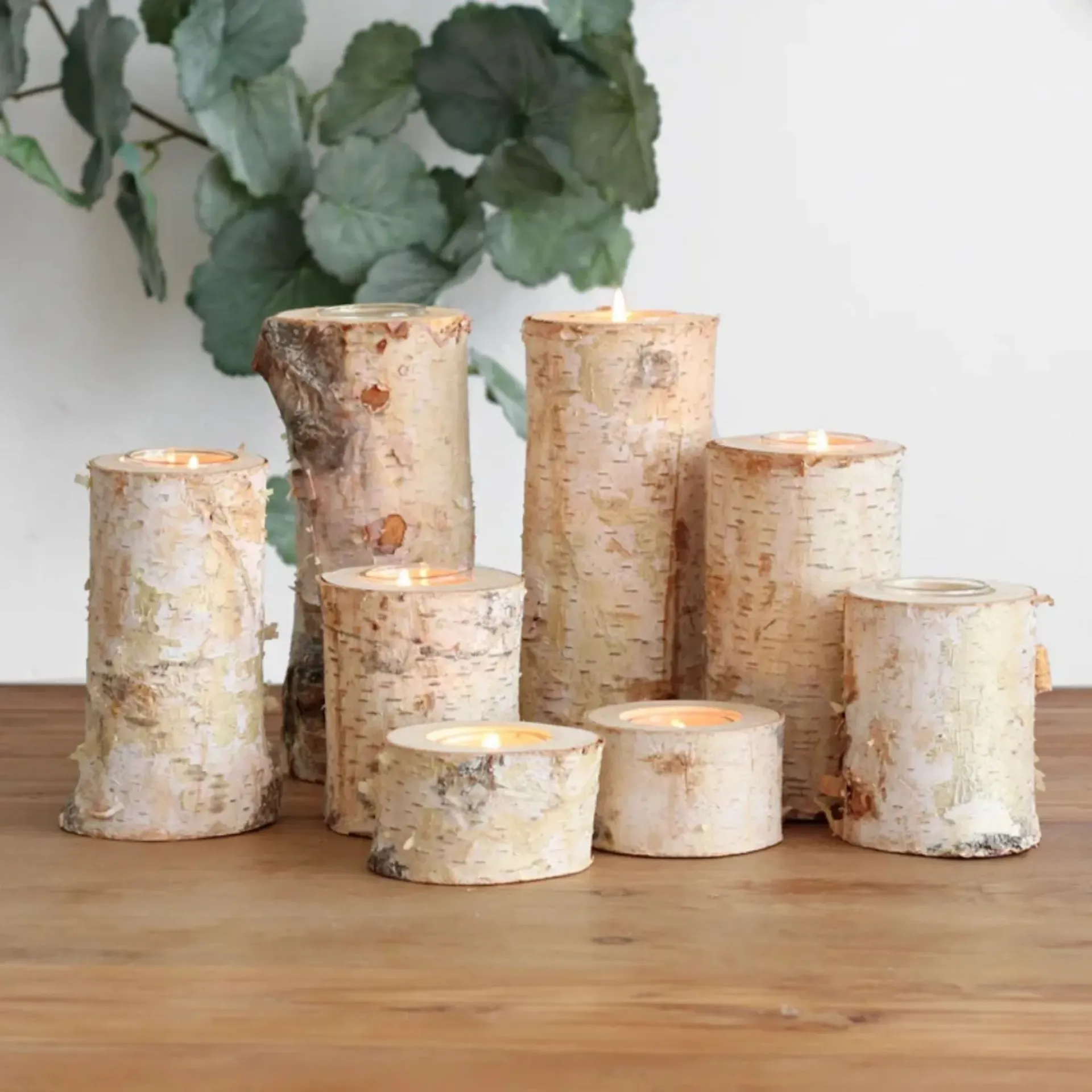 4 pcs Set Birch Branch Candle Holders